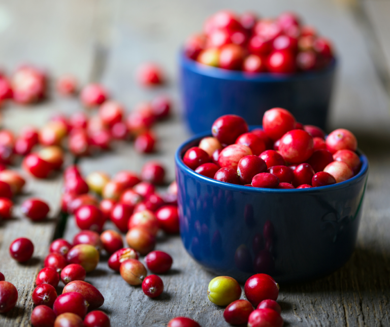 Żurawina – naturalny antybiotyk