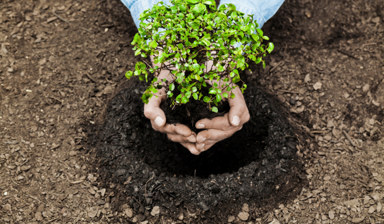 Kalendarz biodynamiczny – co to takiego?