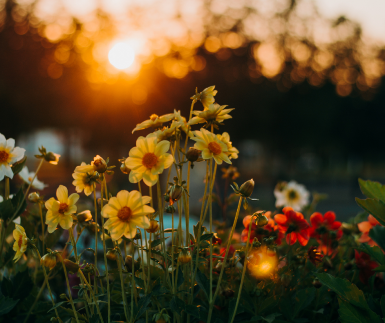 Czym jest „golden hour” w fotografii?